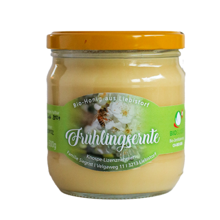 Frühlingsblütenhonig CH